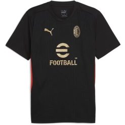 Puma AC Milan 2024/25 Men's Training Shirt