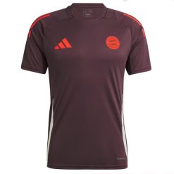 Adidas Bayern Munich 2024/25 Men's Teamline Training Shirt