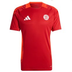 Adidas Bayern Munich 2024/25 Men's Teamline Training Shirt